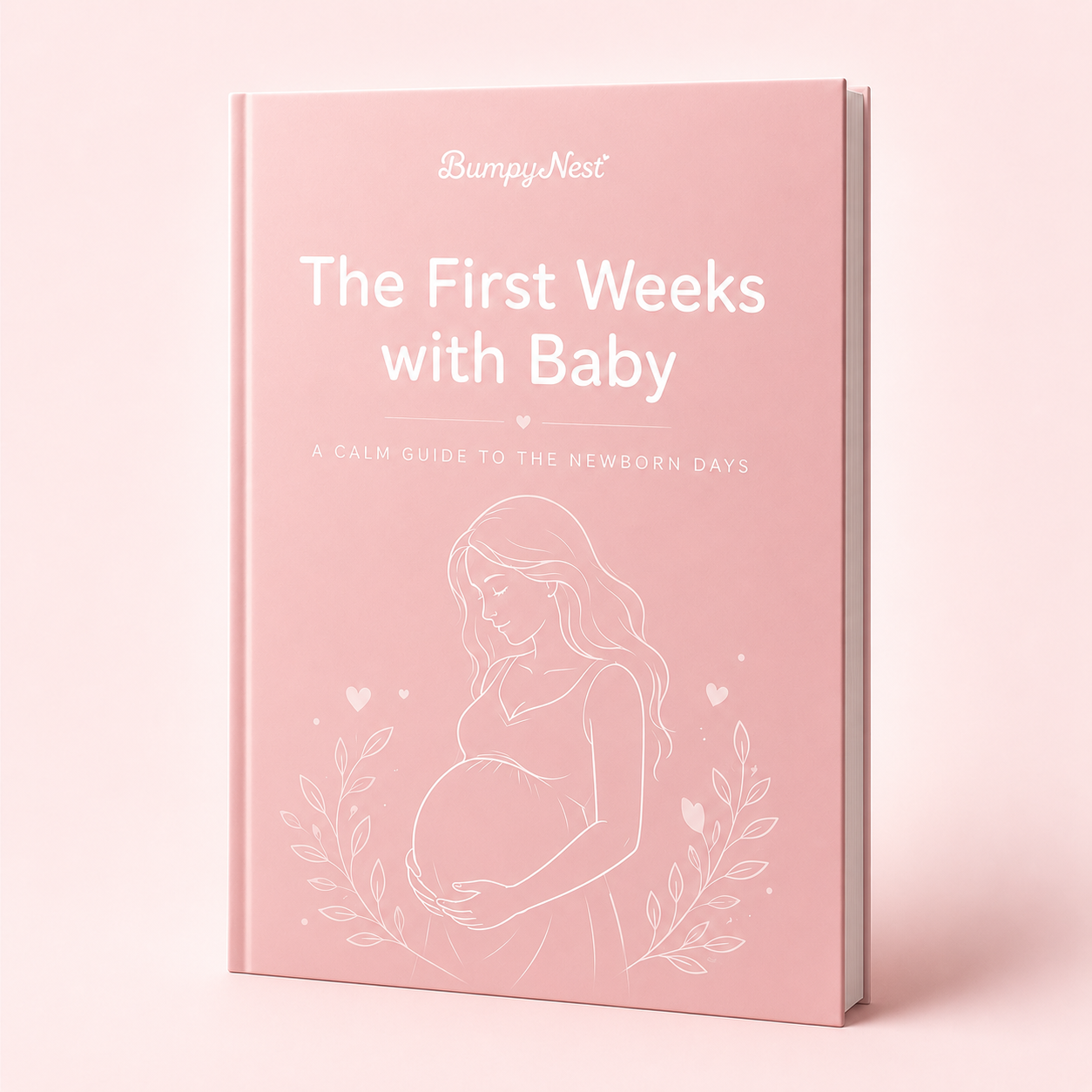 The First Weeks With Baby